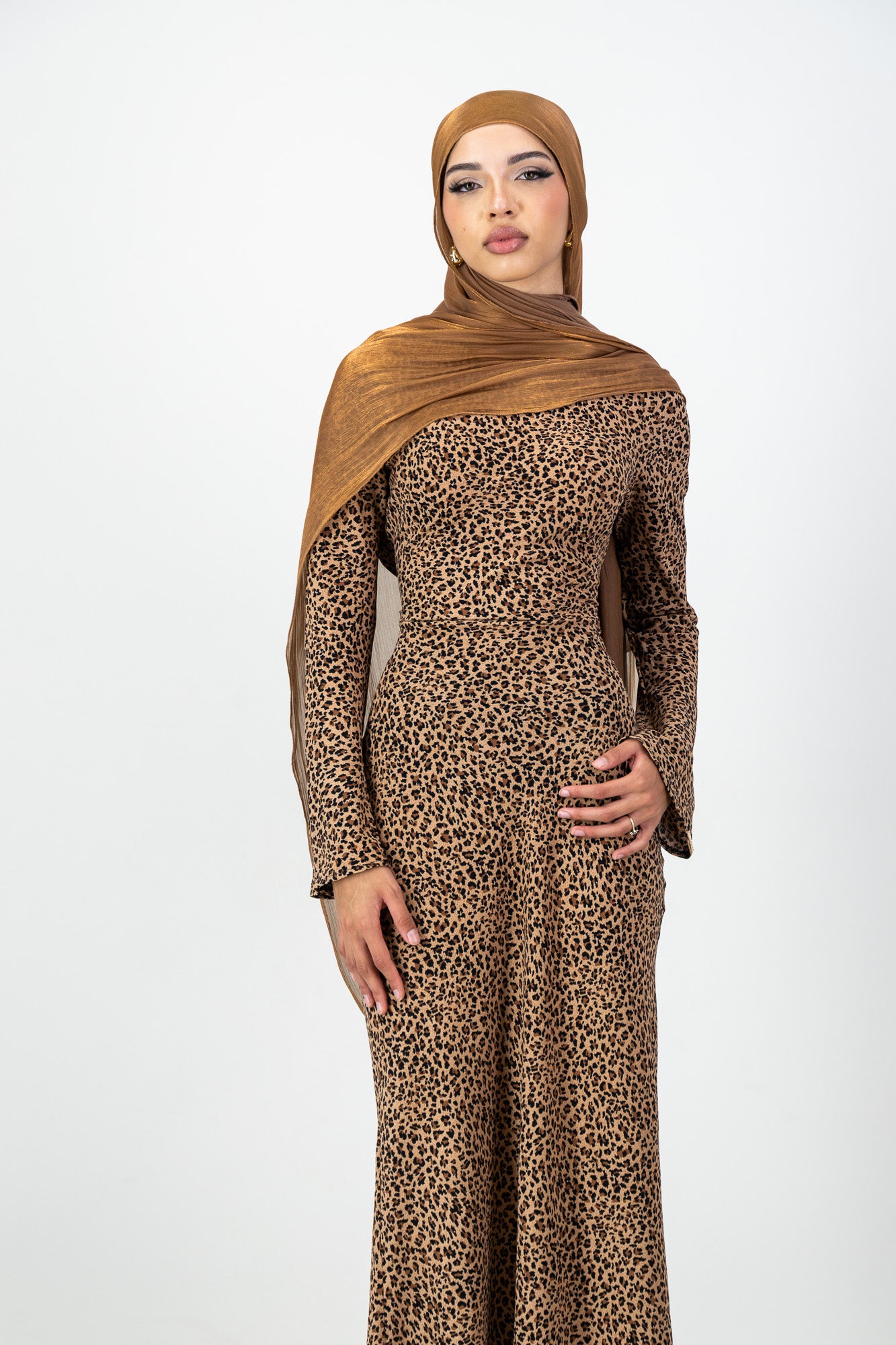 Iman Dress in Leopard
