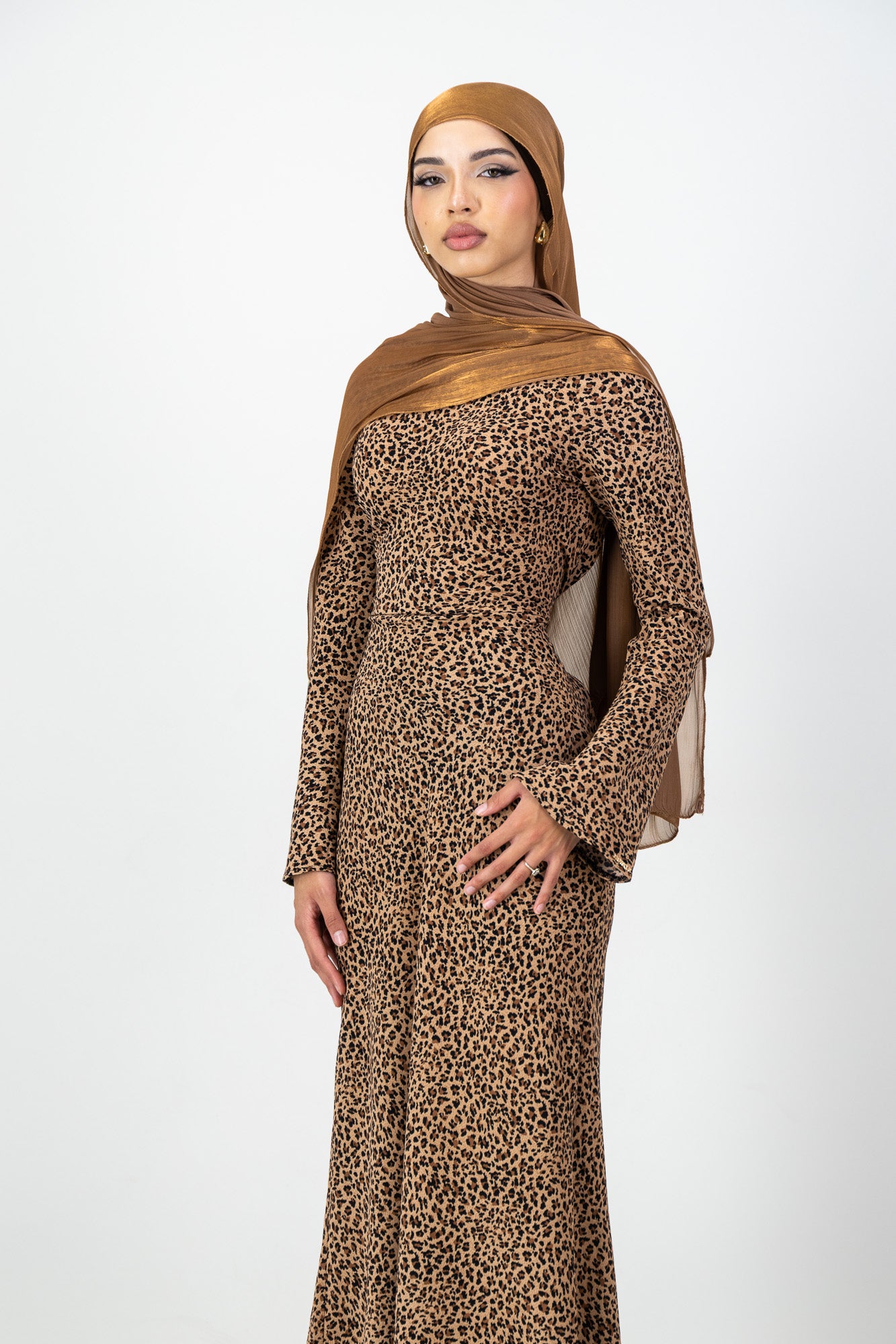 Iman Dress in Leopard